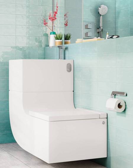 W+W Basin and WC in one single piece